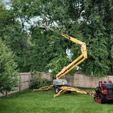 Conway, PA Tree Services Company